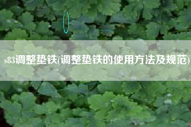 s83<a href='http://m.leedsinternational.com/jichuangdiantiexilie/' target='_blank' title='調(diào)整墊鐵' ><strong>調(diào)整墊鐵</strong></a>(調(diào)整墊鐵的使用方法及規(guī)范)